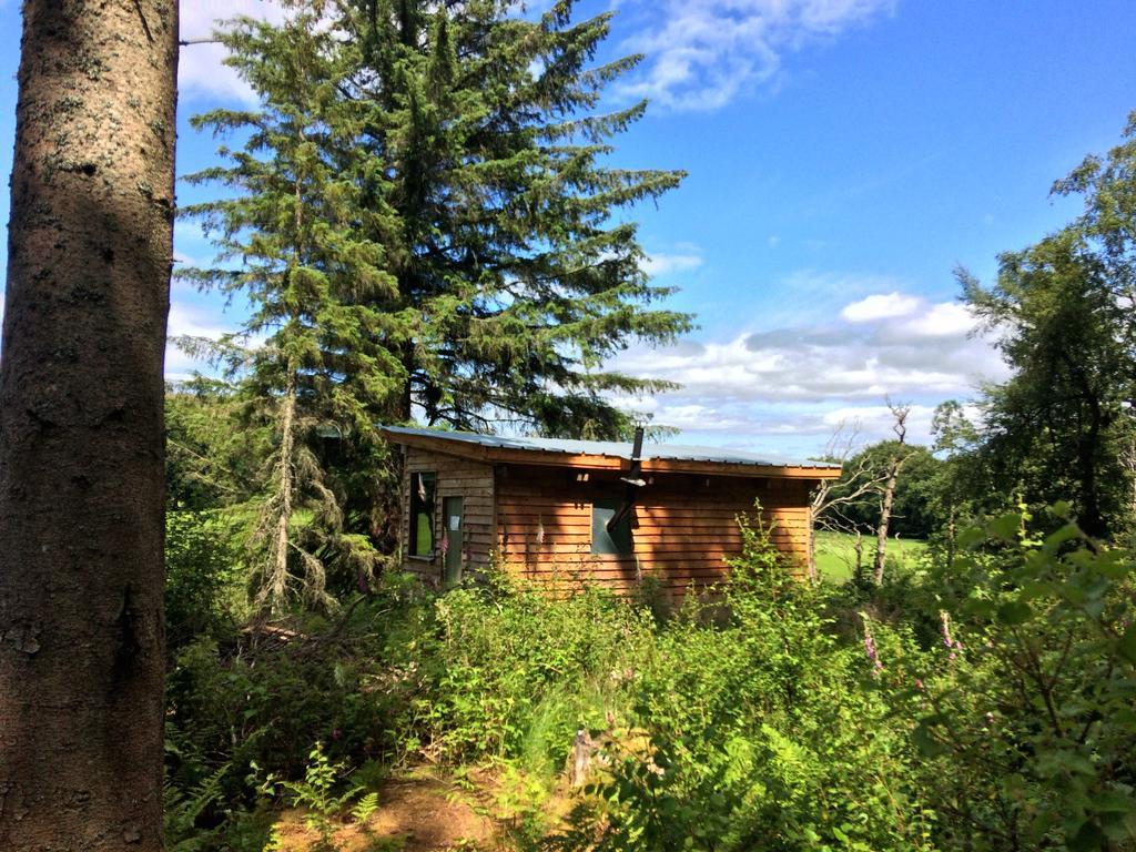 Bamff Ecotourism Villa Alyth Екстериор снимка